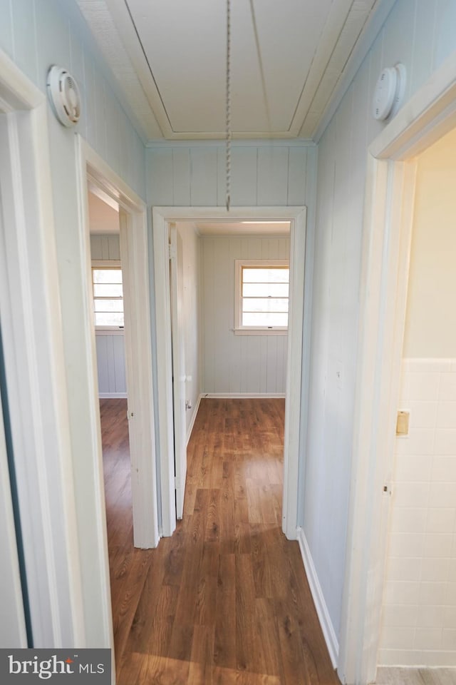 corridor featuring a healthy amount of sunlight and hardwood / wood-style flooring