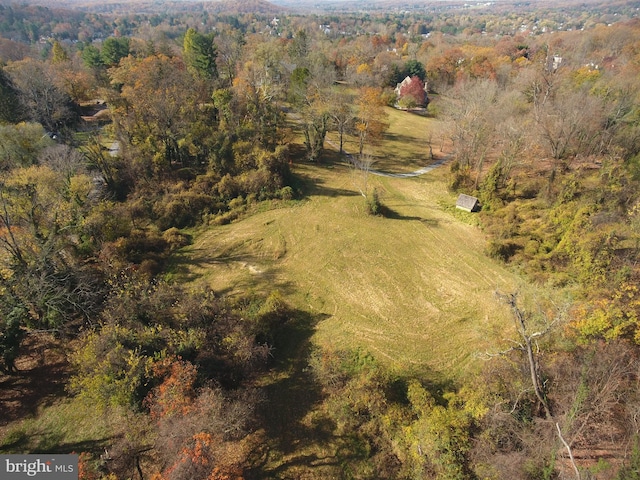 bird's eye view