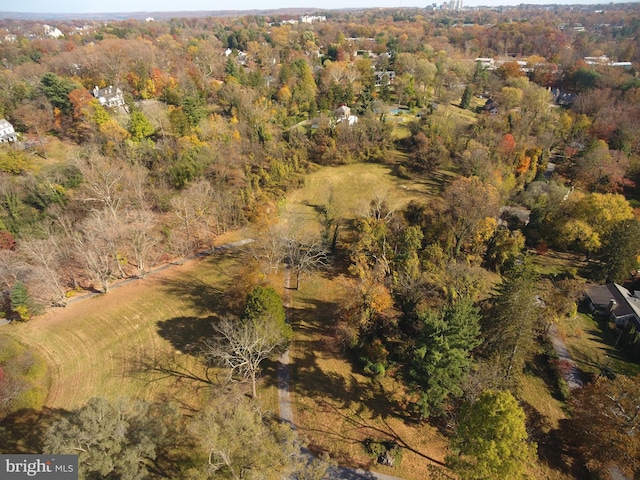 aerial view