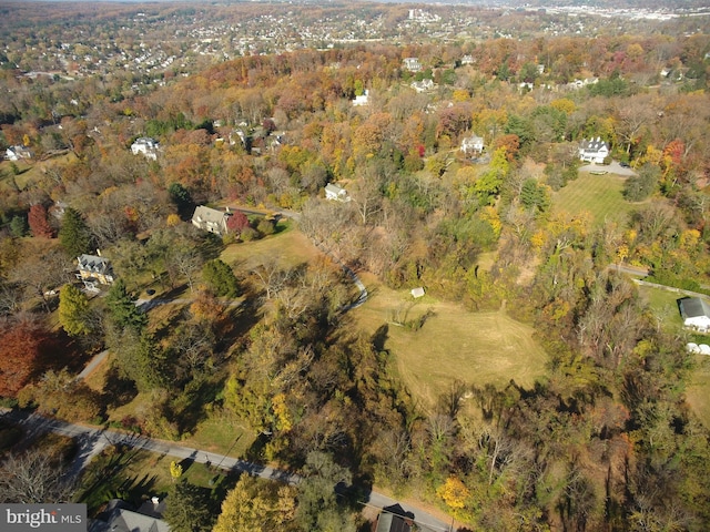 drone / aerial view