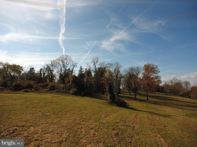 view of yard featuring a rural view