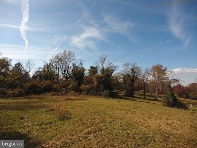 view of yard featuring a rural view