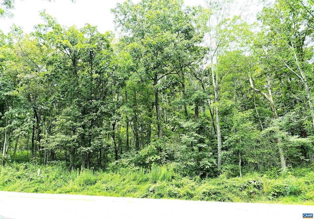 455 Laurel Springs Dr, Wintergreen Resort VA, 22967 land for sale