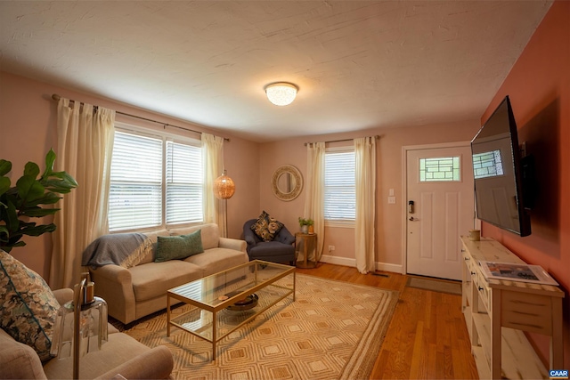 living room with light hardwood / wood-style flooring