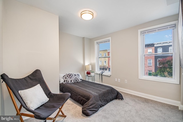 bedroom with carpet flooring