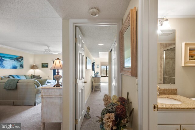 hall featuring ornamental molding, light colored carpet, and sink