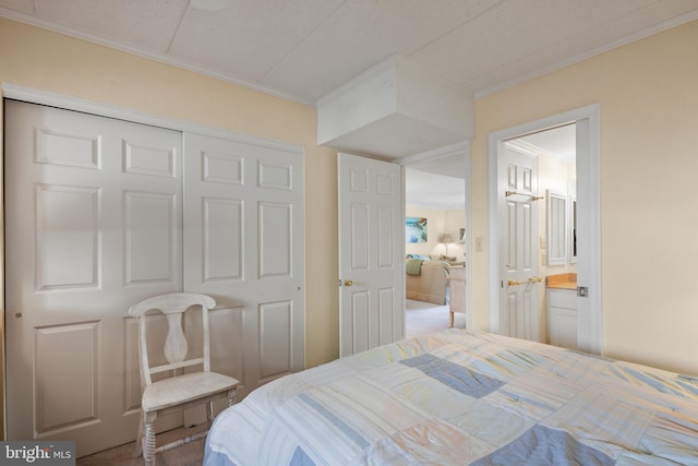 carpeted bedroom featuring a closet, connected bathroom, and crown molding