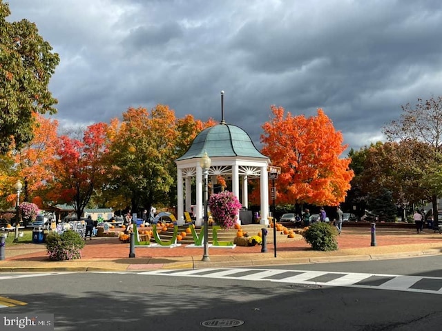 view of home's community