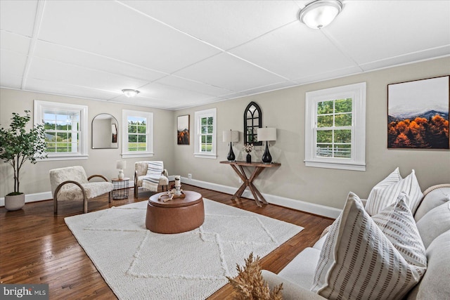 living room featuring dark hardwood / wood-style flooring and a wealth of natural light