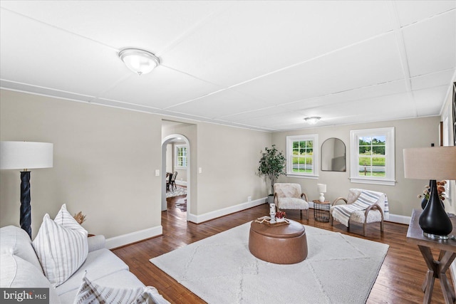 living room with dark hardwood / wood-style flooring