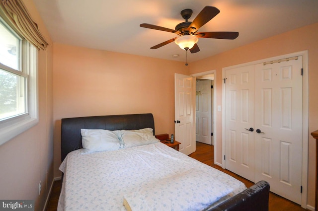 bedroom with a closet, ceiling fan, and dark wood-type flooring