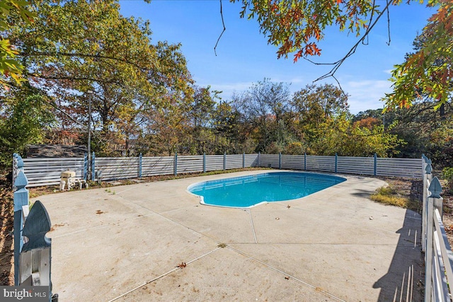 view of pool with a patio