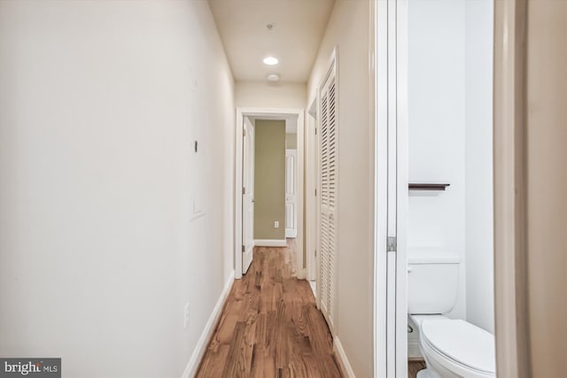 hallway featuring wood-type flooring