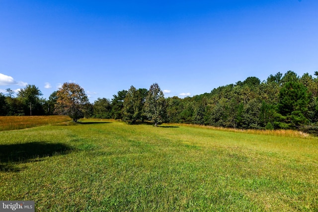 view of yard with a rural view