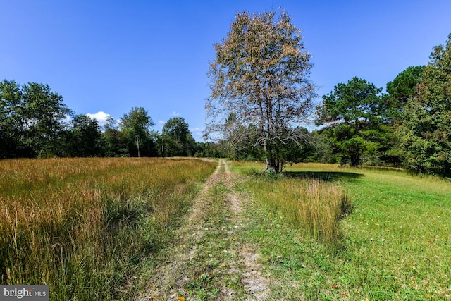 view of nature