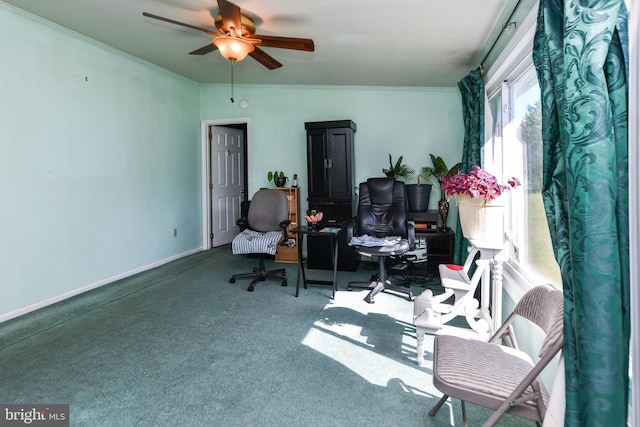 carpeted office with ceiling fan and crown molding