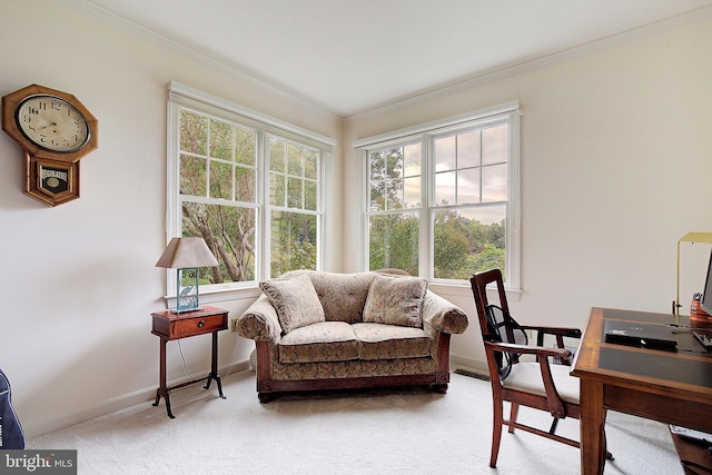 carpeted home office with crown molding