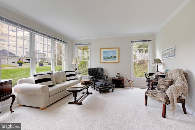 carpeted living room featuring crown molding and plenty of natural light