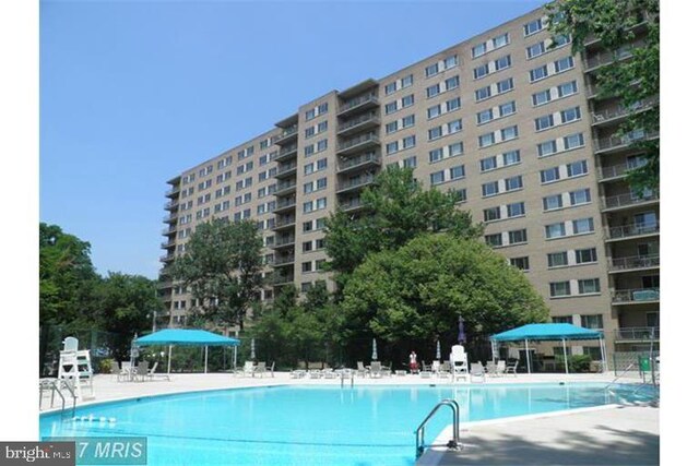 view of pool featuring a patio