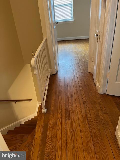 hall with radiator and wood-type flooring