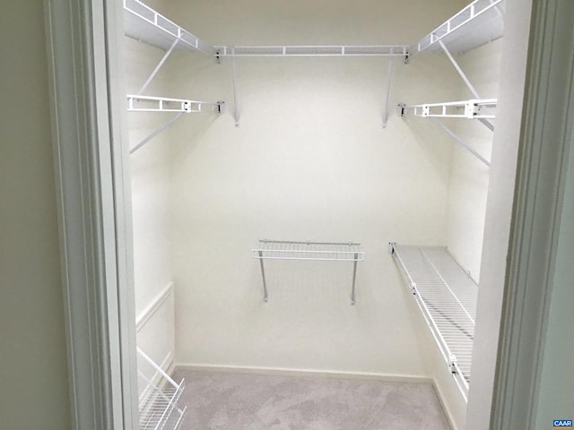 walk in closet featuring light colored carpet