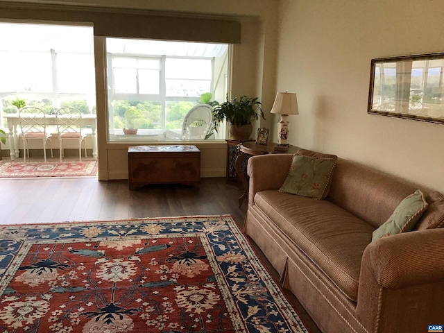 living room with dark hardwood / wood-style flooring