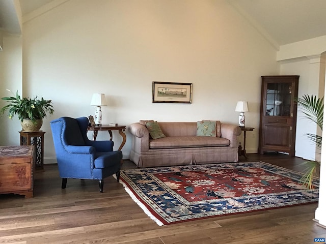 living room featuring high vaulted ceiling and dark hardwood / wood-style flooring