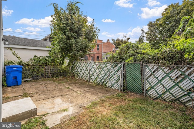 view of yard with a patio area