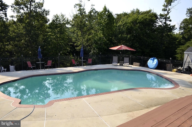 view of swimming pool with a patio area