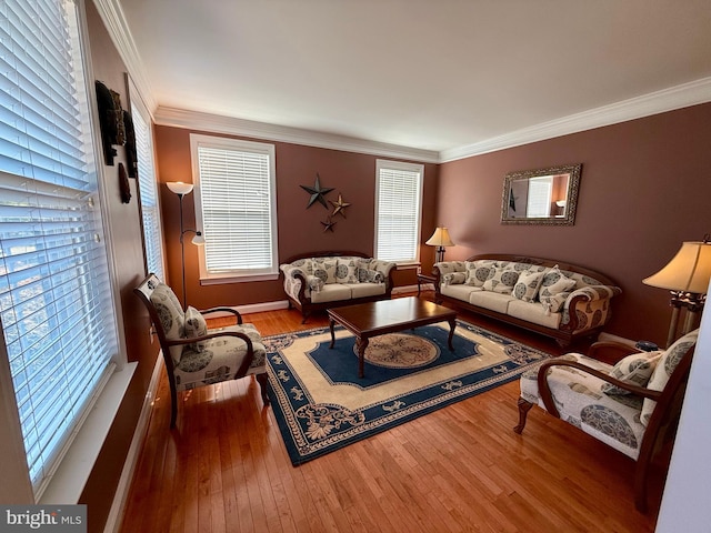 living room featuring crown molding and hardwood / wood-style flooring