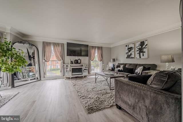 living room with crown molding, light hardwood / wood-style flooring, and a wealth of natural light