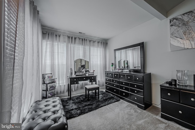 living area featuring carpet floors