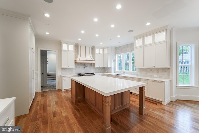 kitchen featuring custom range hood, a wealth of natural light, a kitchen island, and white cabinets