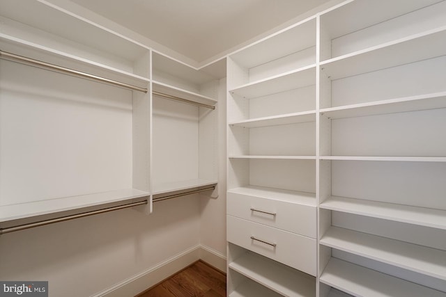 spacious closet with wood-type flooring