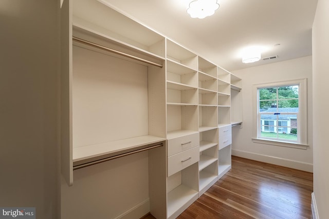 spacious closet featuring dark hardwood / wood-style flooring