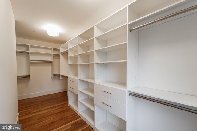 spacious closet with dark wood-type flooring