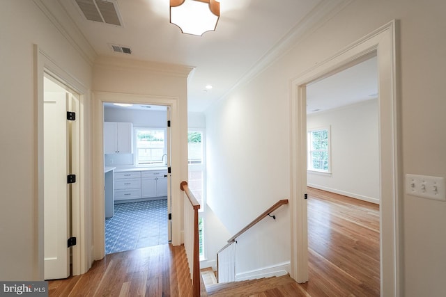 corridor featuring crown molding and light hardwood / wood-style floors