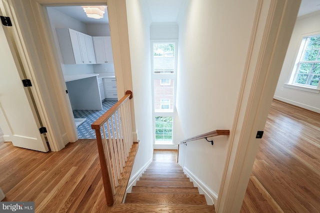 staircase with wood-type flooring