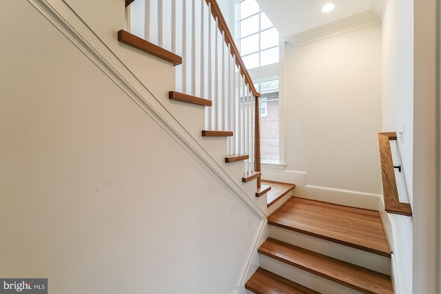 staircase featuring ornamental molding and hardwood / wood-style flooring