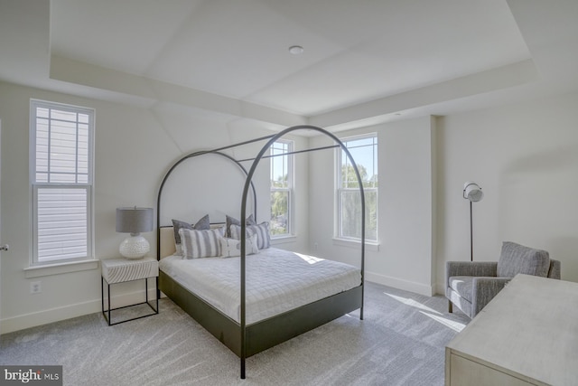 carpeted bedroom with multiple windows and a tray ceiling