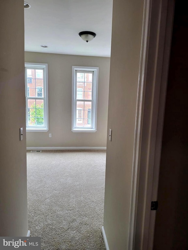 empty room featuring carpet