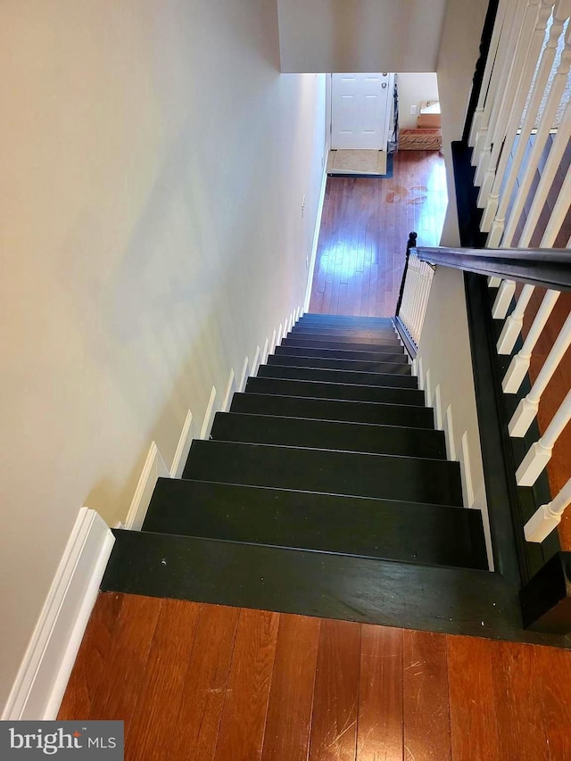 staircase with wood-type flooring