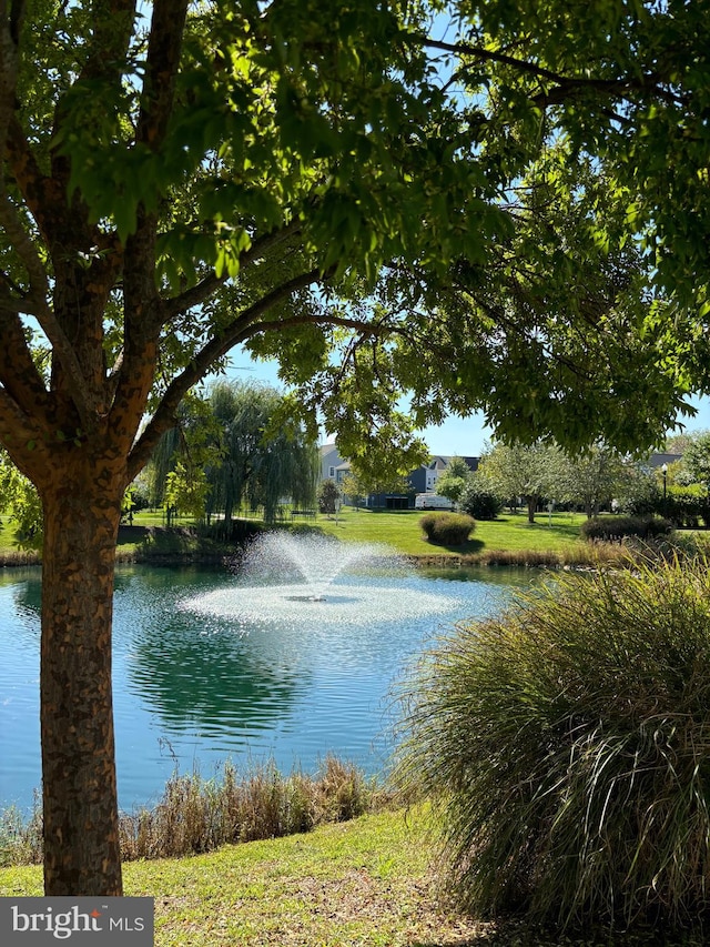 property view of water