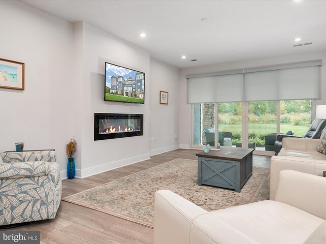 living room featuring hardwood / wood-style floors