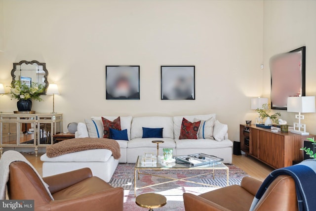 living room featuring light hardwood / wood-style flooring