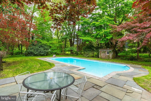 view of pool with a shed, a yard, and a patio area