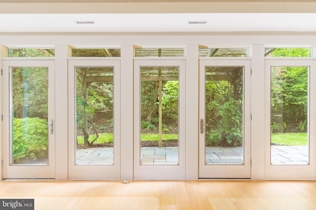 entryway with light wood-type flooring and plenty of natural light