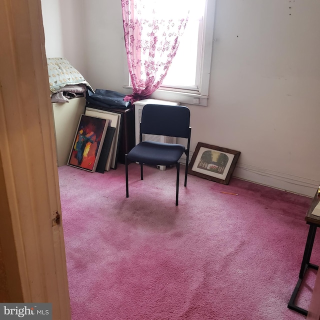 spacious closet featuring carpet floors