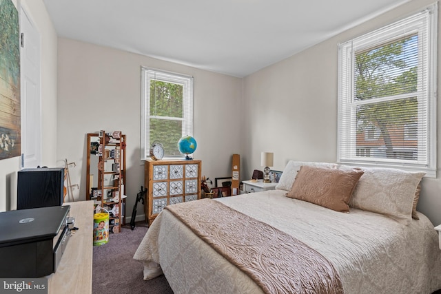 carpeted bedroom featuring multiple windows