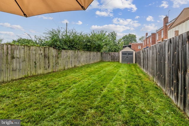 view of yard with a shed